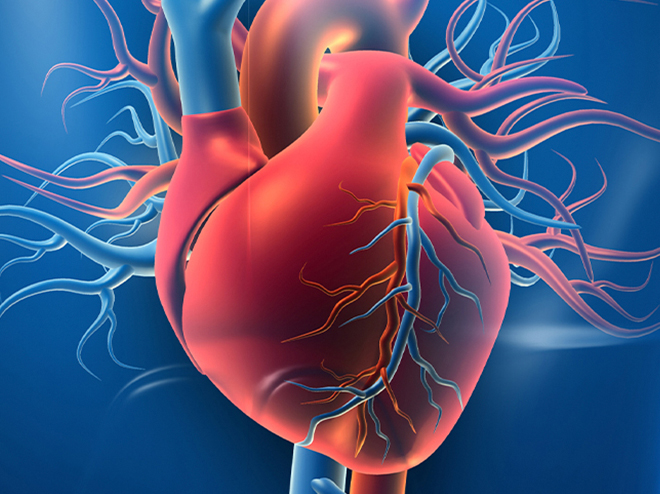 Surge Heart